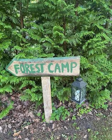 Forest With Grillhouse And Dush