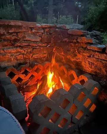 Forest With Grillhouse And Dush *