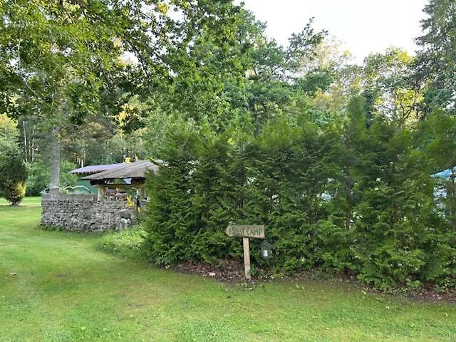 Forest Кемпинг