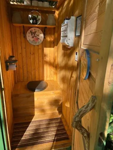 Forest Кемпинг *